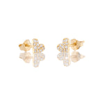 Shine Earring