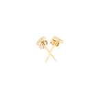 Shine Earring