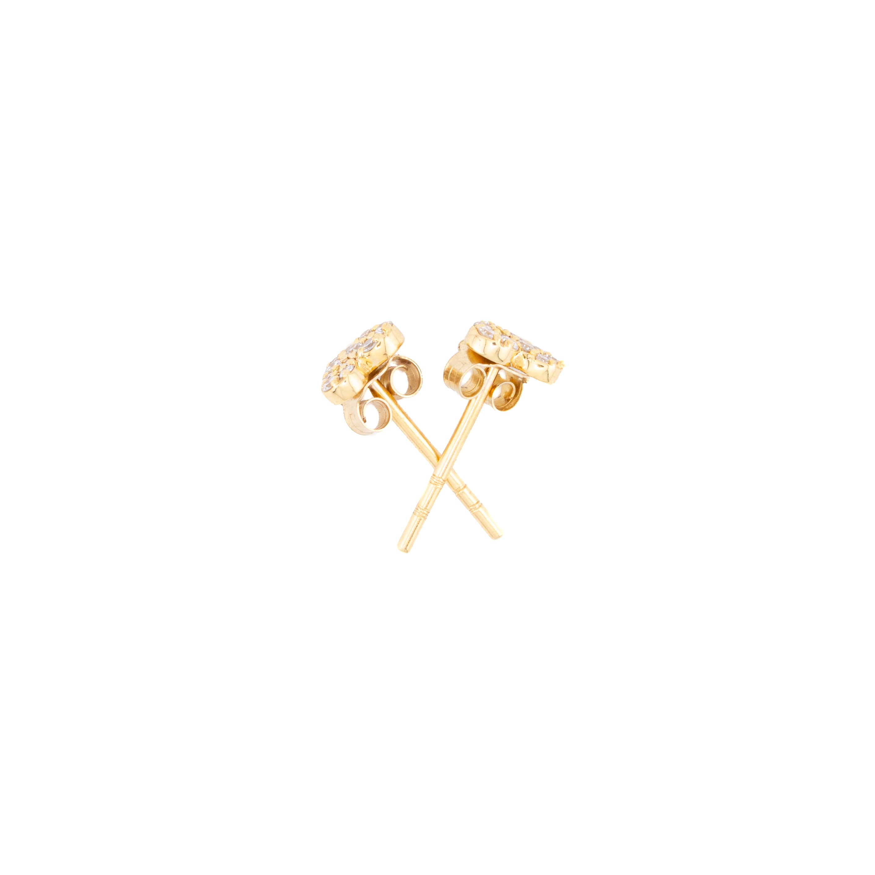 Shine Earring